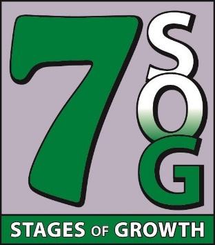 7 Stages of Growth logo